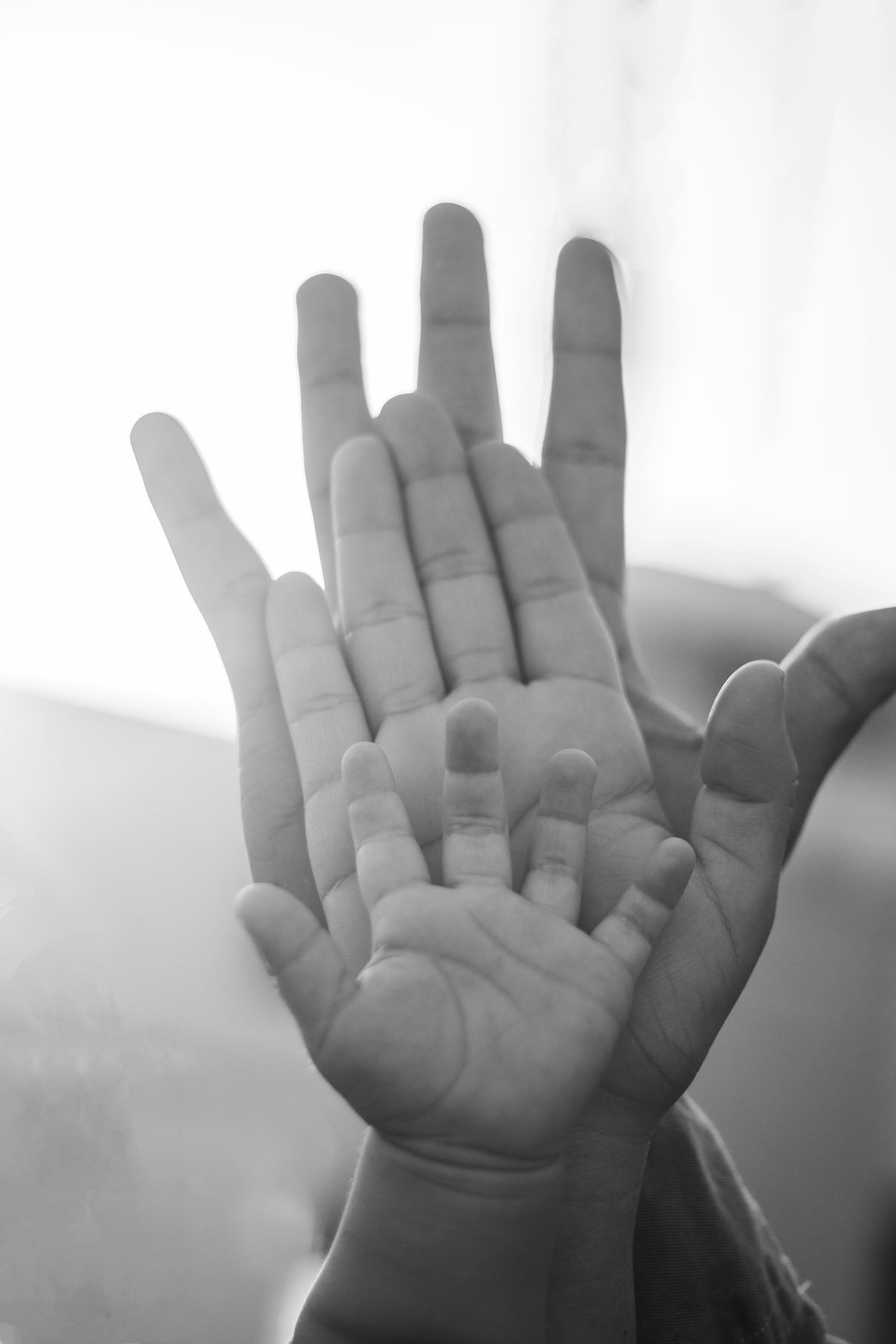 La mano di un adulto e quella di un bambino